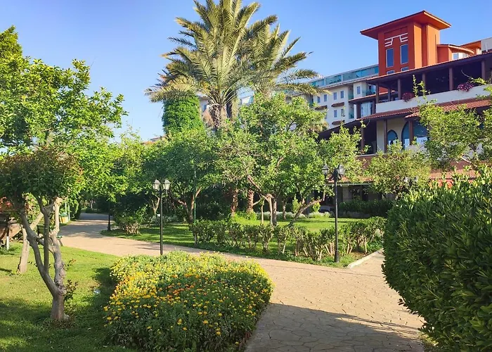 بيلكونتي بيليك